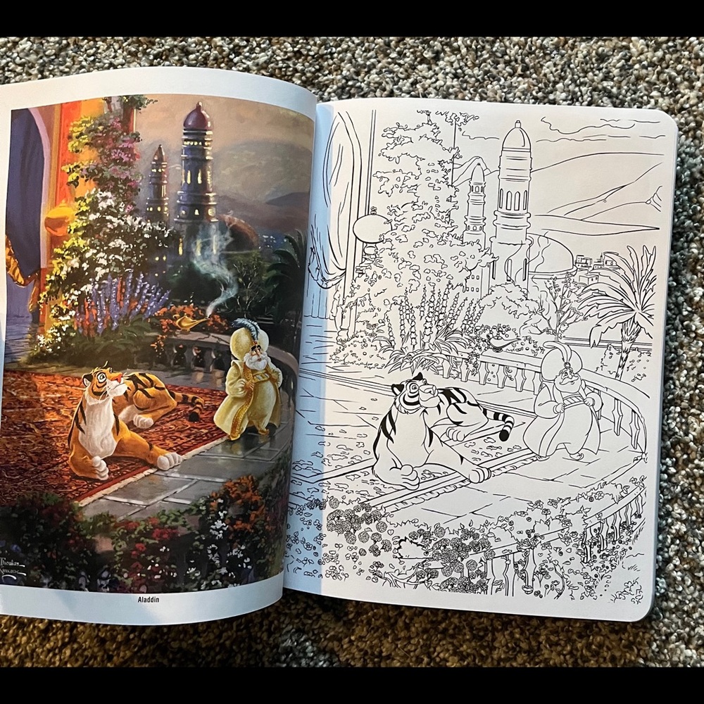 ✨ HP ✨ Disney Dreams Collection (Advanced/Adult) Coloring Book by... - Picture 7 of 12